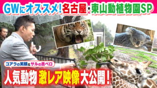 ＧＷにオススメ！名古屋・東山動植物園ＳＰ【太田×石井のデララバ】