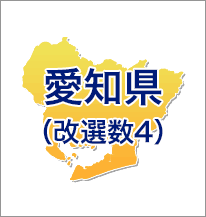 愛知県（改選数4）