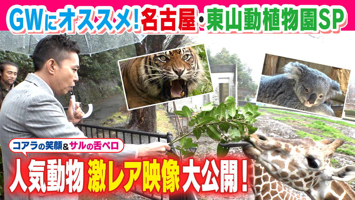 太田×石井のデララバ　ＧＷにオススメ！名古屋・東山動植物園ＳＰ