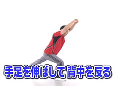 �葫��L�΂��Ĕw�؂𔽂�