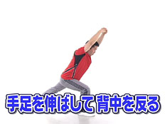�葫��L�΂��Ĕw�؂𔽂�