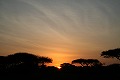 ケニア、アンボセリ自然公園