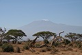 アフリカ最高峰・キリマンジャロ