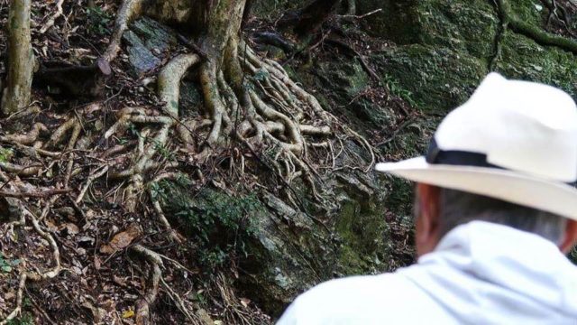 cbcアナウンサーブログ