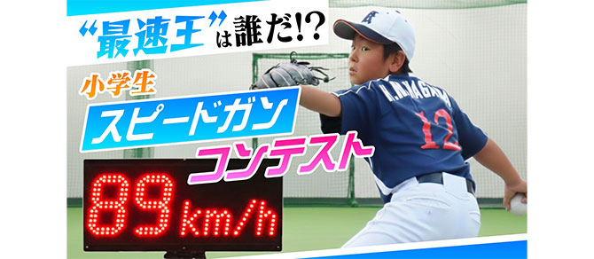 サンデードラゴンズ