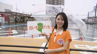 加藤愛アナが愛知・蟹江町の『白いちじくブッセ』を調査！ 町の特産品を盛り上げよう！ 先駆けの愛されスイーツ