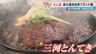 知らなきゃ損！？愛知・豊橋市の隠れた名物「三河とんてき」と「豊橋牛すきまぶし」を調査！