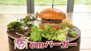 高さ15センチ豊橋の人気バーガー&連日完売!パリパリパン!【チャント!特集】