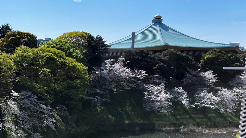 CBC東京支社からのぞむ日本武道館