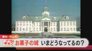 お菓子の城に何が!?撮影目的のお客が増加の理由を調査!【チャント!】