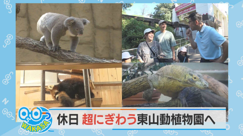 おしゃべりメガネ・若狭アナが「東山動植物園」に突撃！【チャント！特集】