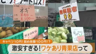キャベツは10円、ジャガイモ詰め放題は100円！？ 愛知県に誕生した激安の“ワケあり青果店”とは