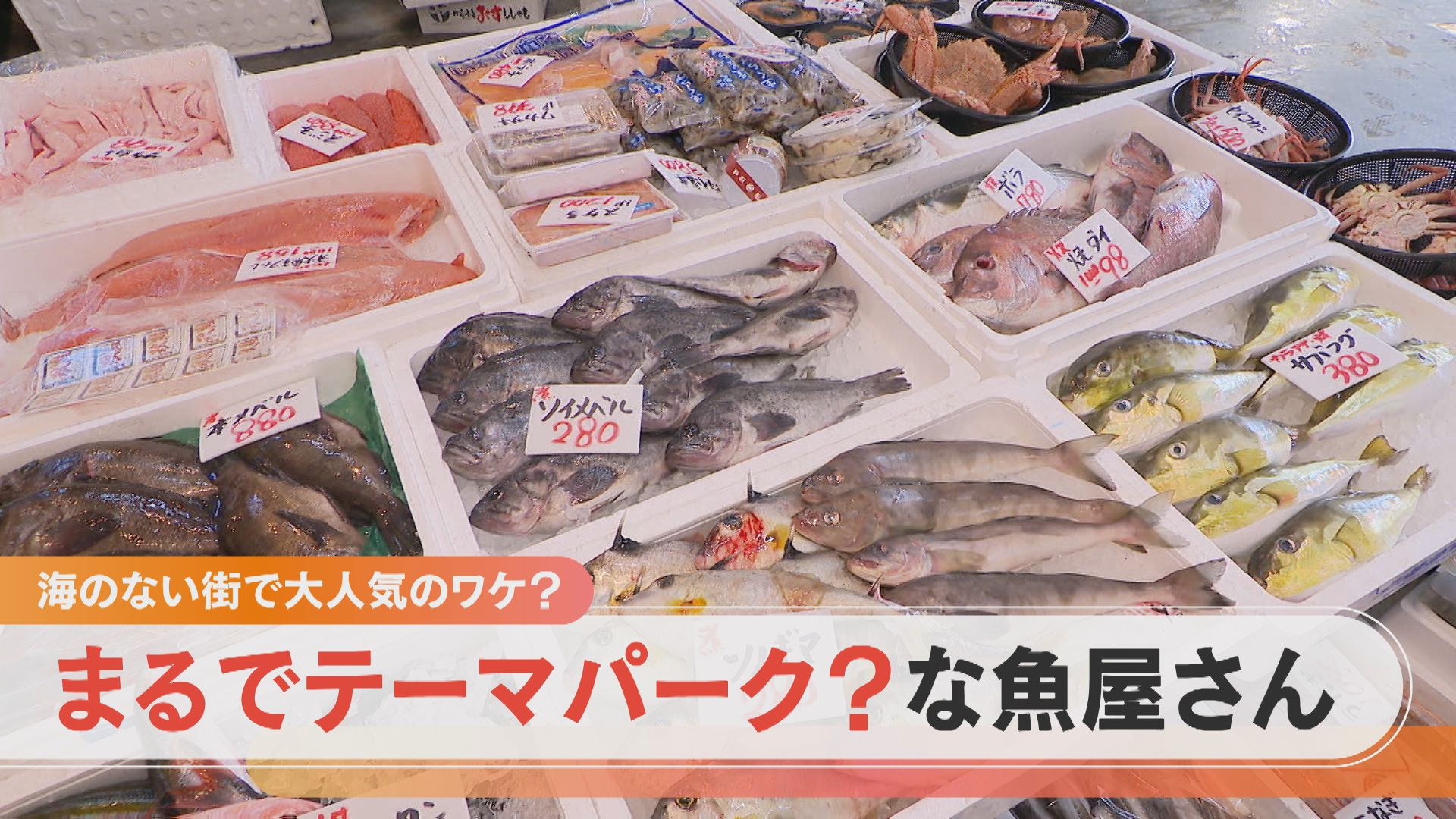 海のない街の“魚のテーマパーク” 子どもも夢中で楽しめる鮮魚店の4つの