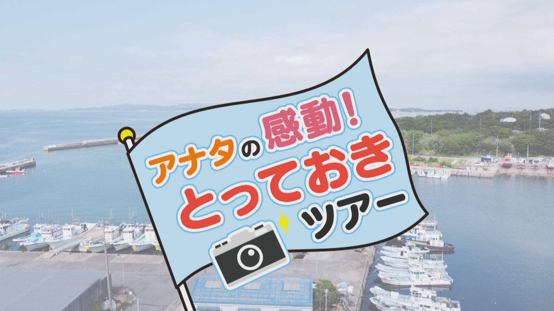 島サウナ＆絶品グルメ！日間賀島の地元の人だけが知っている、とっておきの穴場とは