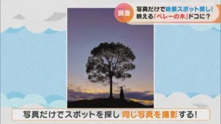 名古屋で海外の絶景！？カメラ好きの間で有名な「ペレーの木」を探し出せ！