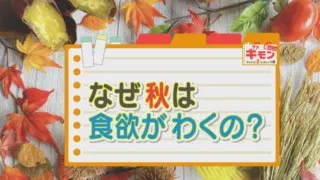 「秋はなぜ食欲がわくの？」食欲の秋には理由があった！止まらない食欲と体重増加を防ぐコツとは