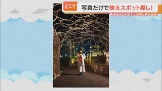 「＃村役場のイルミネーション」がSNSで大バズり！幻想的なスポットをめぐるヒントは東海にある4つの村？