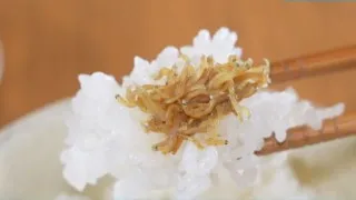 水揚げ量Ｎo.1の産地で聞いた！ シラスの激うまレシピをご紹介 島民絶賛のソウルフードから最強ごはんのお供まで