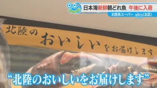 話題の北陸系スーパー「albis」に潜入！ 「まるで道の駅」 日本海の朝どれ鮮魚にゴーゴーカレー弁当、昆布おはぎまで
