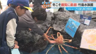 深海生物がさらに充実!! 新たに20種類以上が登場 リニューアルで進化した「竹島水族館」3つの見どころを紹介