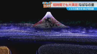 約8分間の圧巻演出！「なばなの里」今年のイルミネーションテーマ「名峰富士」の美しさにおしゃべりアナも絶句