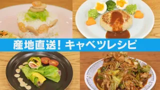 キャベツで前菜からデザートまで!?キャベツを余すことなく使える！農家直伝フルコースレシピと保存法を紹介