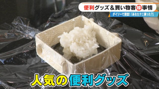 「ダイソー」で発見!冷凍ご飯収納やレンジ調理器など便利グッズからおしゃれアイテムまで、最新ショッピング事情を徹底調査