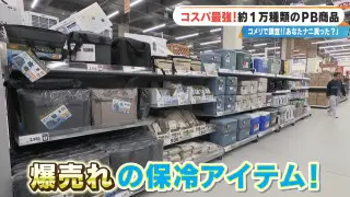 マニアも絶賛の洗車グッズや、折りたためる保冷バッグがSNSで話題！DIYからカー用品まで、「コメリ」の人気商品を徹底調査