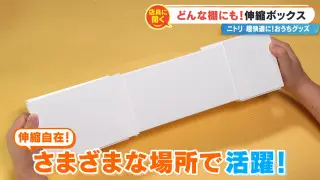 部屋干し・収納・家事のストレスを解決！？ニトリ店員が本気で押す「ニトリ」の神アイテムBEST3