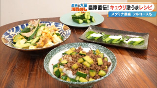 こんなキュウリの使い方、見たことない!「キュウリチャンプルー」や「ニンニク肉みそ丼」…驚きのキュウリフルコースをご紹介