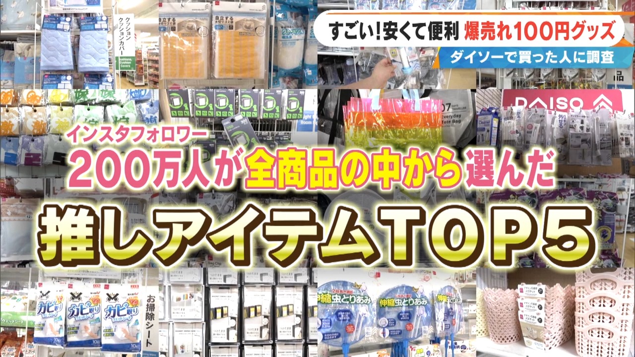 ダイソーで今売れてる便利グッズ&話題のぬい活アイテムとは?フォロワー200万人が選んだベスト5も!