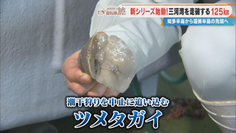CBCテレビ『チャント！』