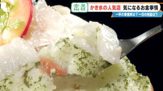 「かき氷って稼げるの？」一杯1000円以上が当たり前！？人気店の懐事情をリサーチ