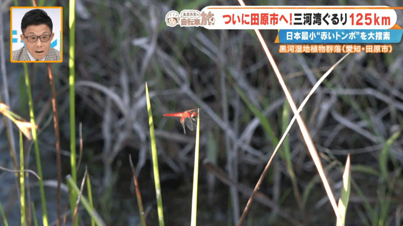 CBCテレビ『チャント！』