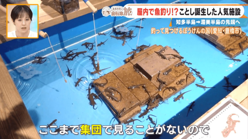 CBCテレビ『チャント！』