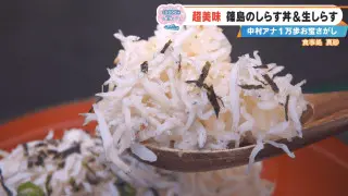 「過去イチおいしい」フワッフワのしらす丼にCBC中村アナ大興奮！とれたて30分以内の生しらすも！？愛知・篠島の感動スポット3選