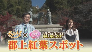 【岐阜・郡上市 郡上八幡城】天守炎上!ドローン映像で見る白亜の天守閣と紅葉の共演