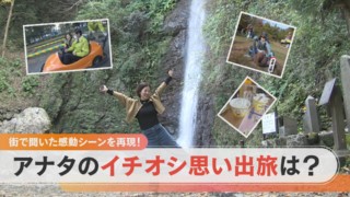 養老の滝にレトロ遊園地、そして関ケ原合戦場!?あなたの思い出旅を再現します!