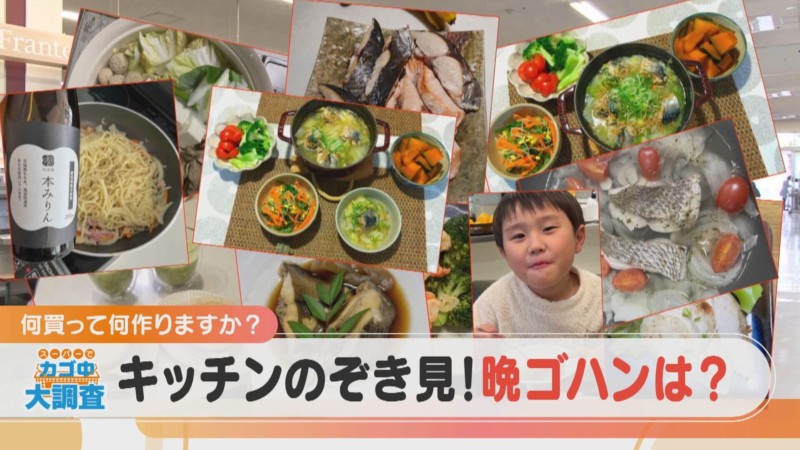 【密着】その食材で何を作りますか？お宅の晩ご飯 撮らせて下さい！【チャント！特集】