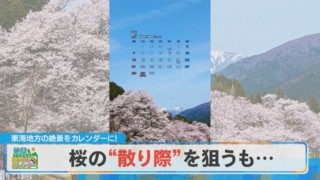 【絶景カレンダー】今しか見られない“淡墨桜と〇〇〇”【チャント！】