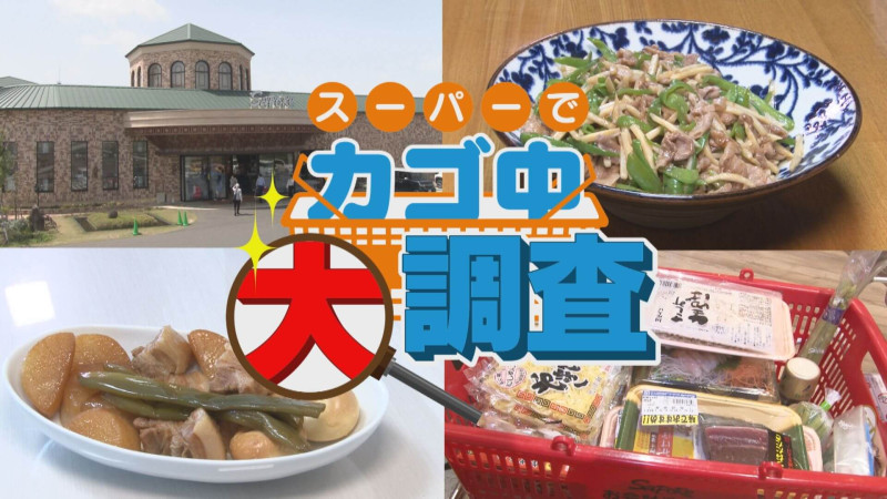 【密着】その食材で何を作りますか？お宅の晩ご飯 撮らせて下さい！【チャント！特集】