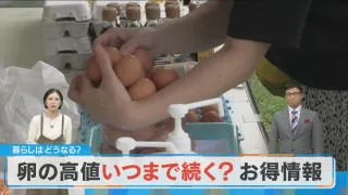 【食欲の秋WEEK】たまご詰め放題！700円で49個詰める猛者も！？【チャント！】