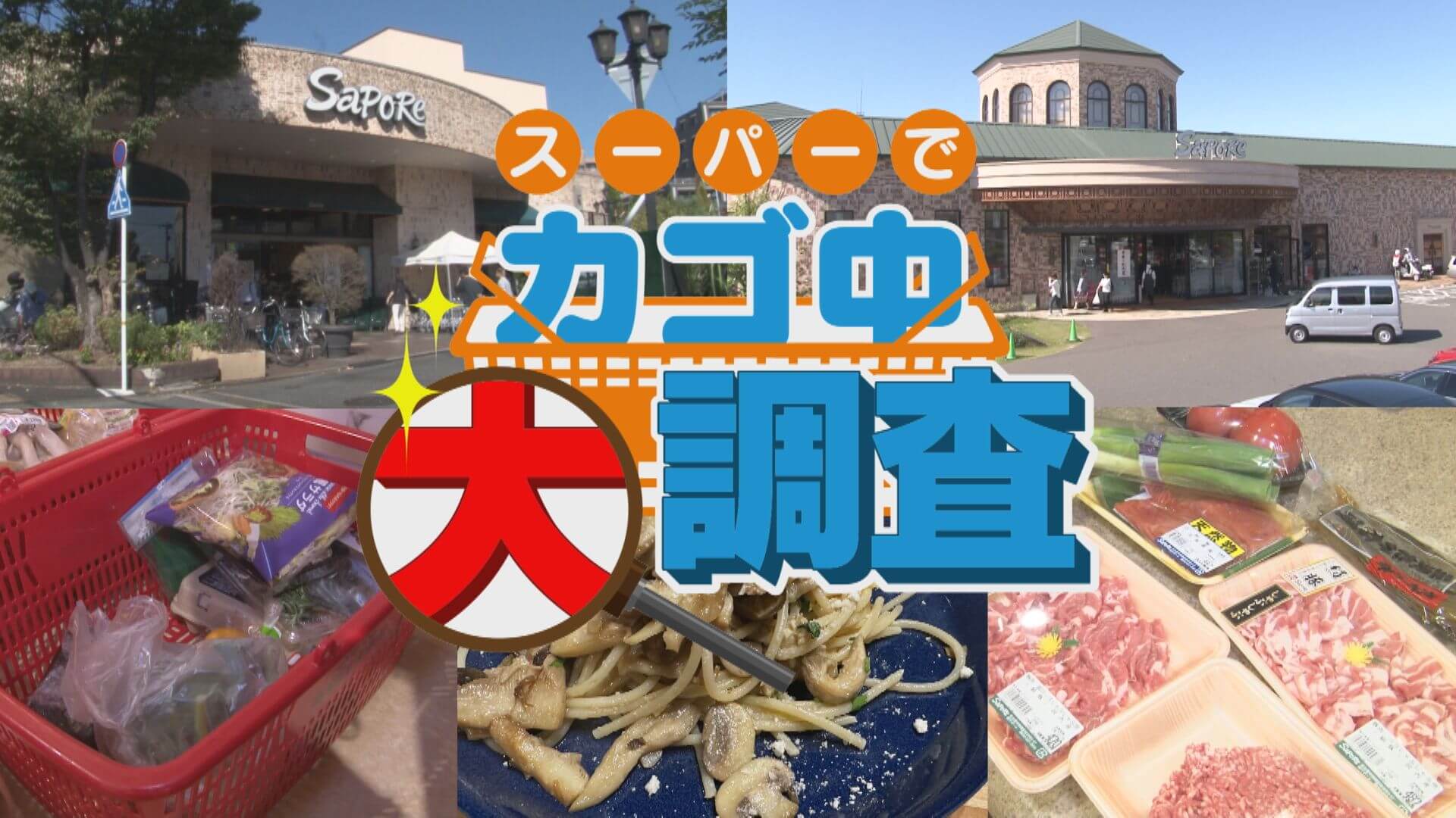 【密着】その食材で何を作りますか？お宅の晩ご飯 撮らせて下さい！【チャント！特集】