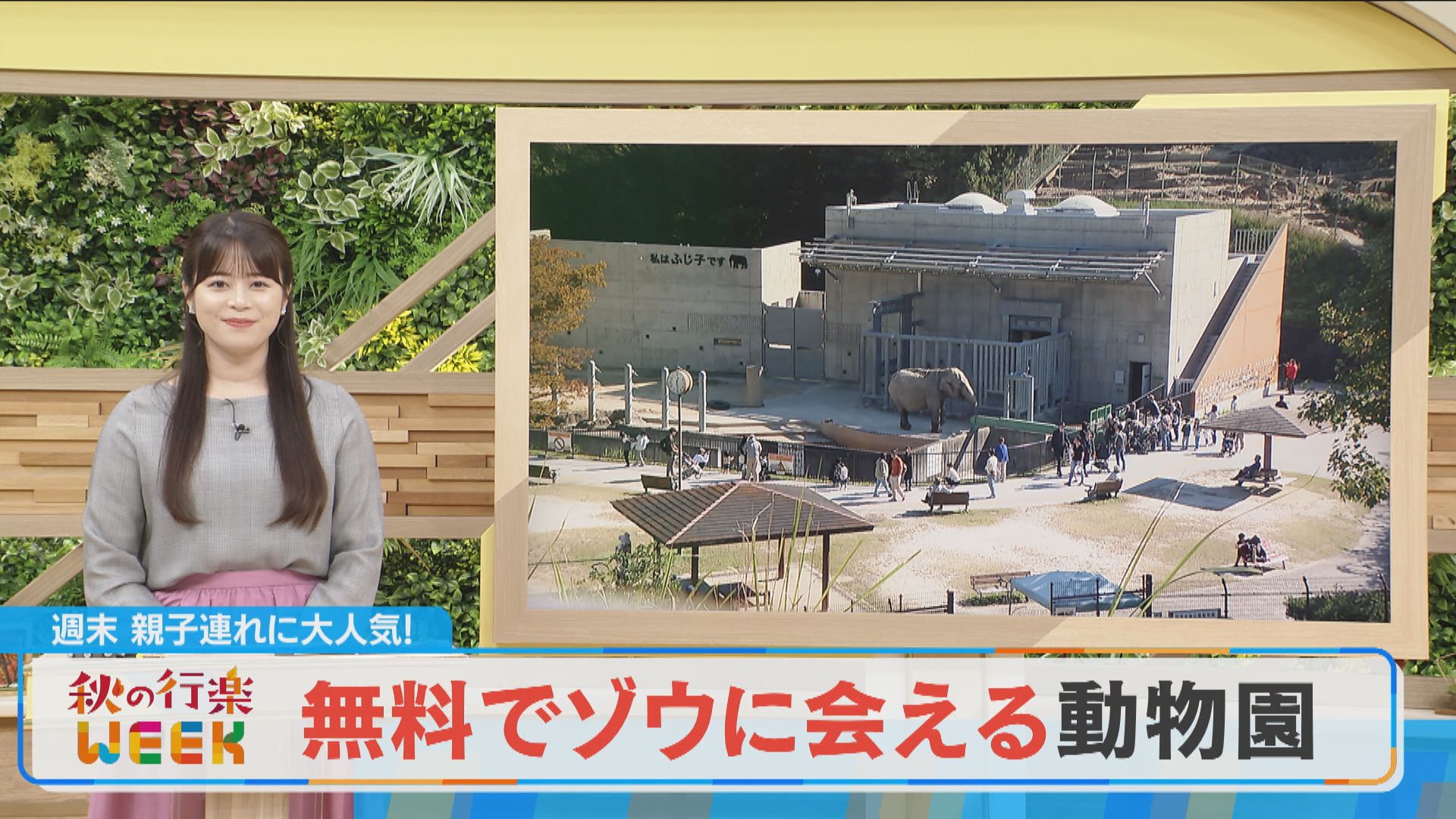 【秋の行楽WEEK】無料でゾウに会える動物園！？岡崎「東公園」【チャント！】