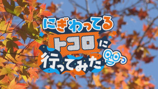 おしゃべりメガネ・若狭アナが「香嵐渓」に突撃！【チャント！特集】