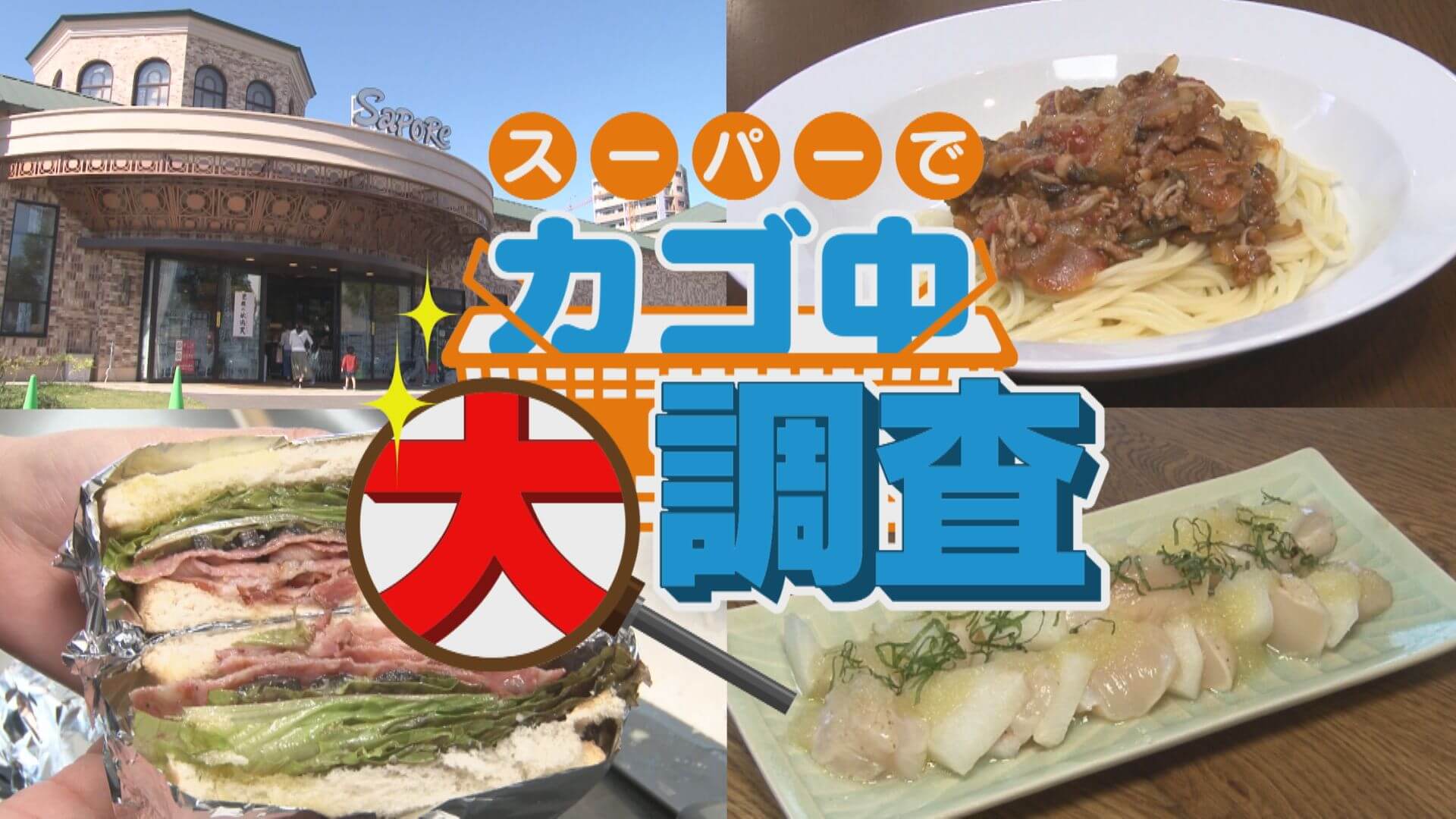 【密着】その食材で何を作りますか？お宅の晩ご飯 撮らせて下さい！【チャント！特集】