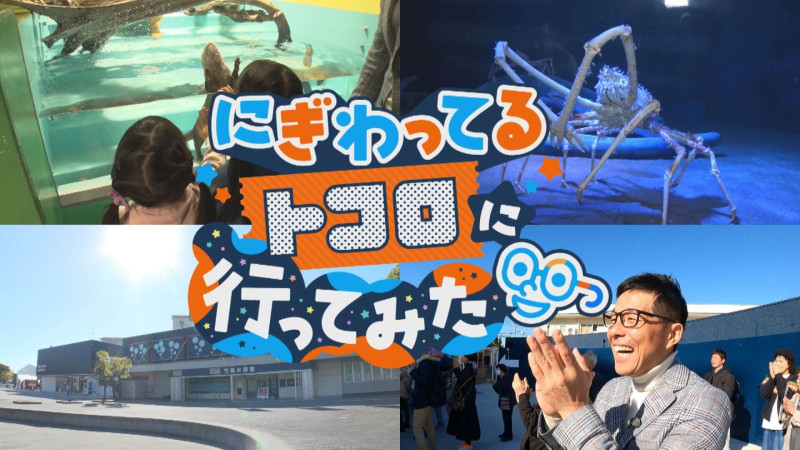 おしゃべりメガネ・若狭アナが「竹島水族館」に突撃！【チャント！特集】