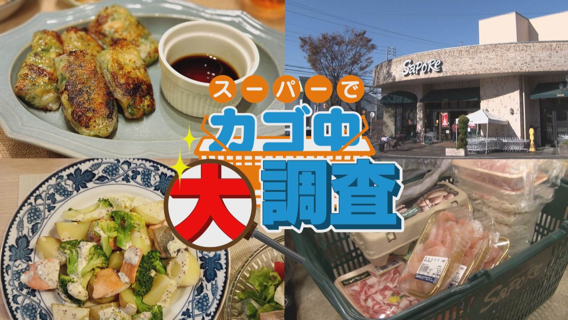 【密着】その食材で何を作りますか？お宅の晩ご飯 撮らせて下さい！【チャント！特集】