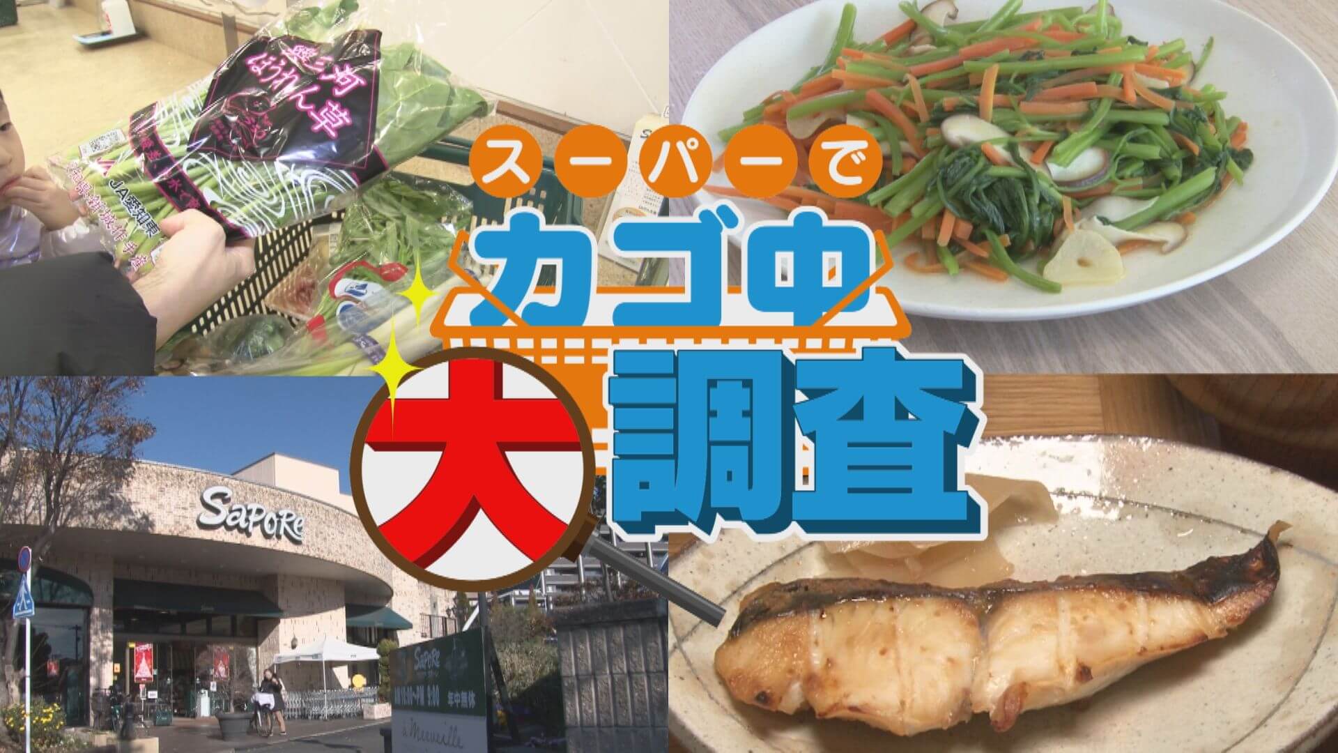 【密着】その食材で何を作りますか？お宅の晩ご飯 撮らせて下さい！【チャント！特集】