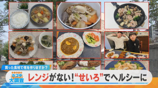 【密着】その食材で何を作りますか？お宅の晩ご飯 撮らせて下さい！【チャント！特集】